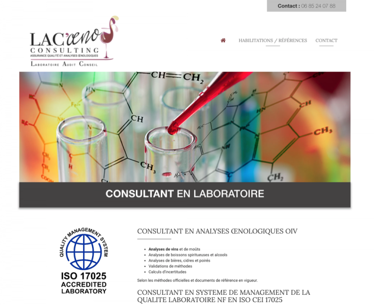 lacoeno consulting 768x626